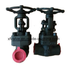 API602 800lb Forged Steel A105 Thread End NPT Gate Valve